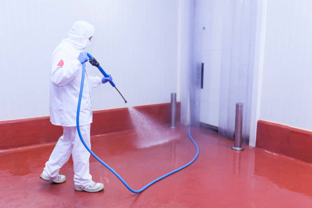 Trusted Daleville, IN Pressure Washing Services Experts