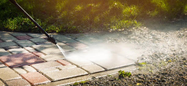 Best Restaurant Pressure Washing  in Daleville, IN